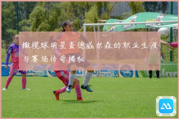 橄榄球明星查德威尔森的职业生涯与赛场传奇揭秘