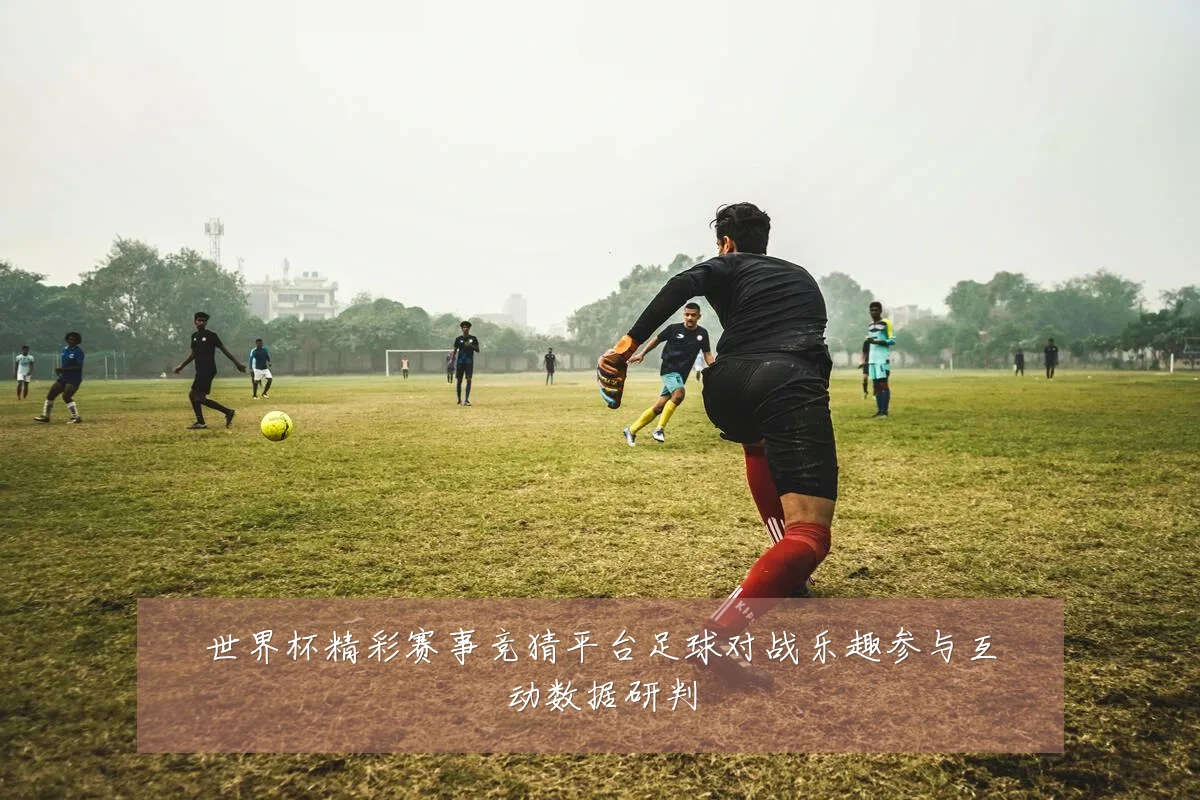 世界杯精彩赛事竞猜平台足球对战乐趣参与互动数据研判
